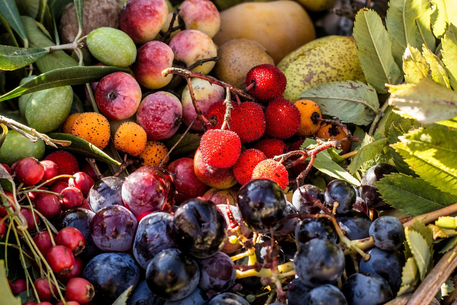 La importancia de una dieta saludable y la dieta keto